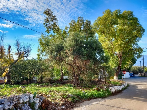 Land in Kefalas - view 1