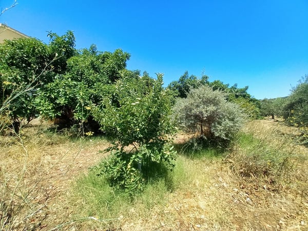 Land in Armenoi - view 1