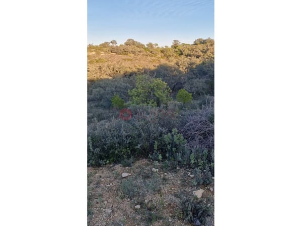 House in Loule (Sao Clemente) - view 1