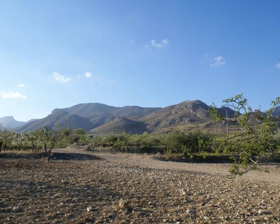 Land in Henares - view 1