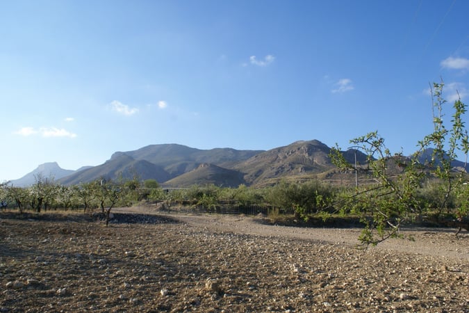 Land in Henares - view 1