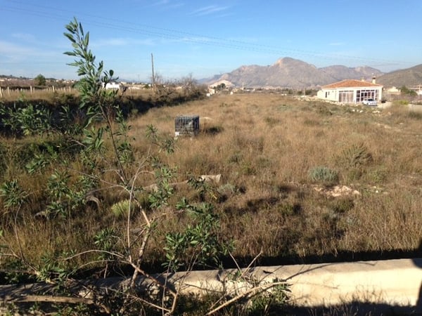 Land in Hondon de los Frailes - view 1