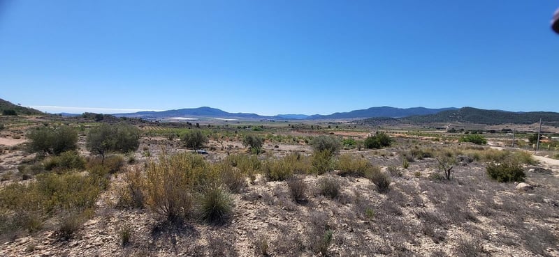 Land in Monovar - view 1