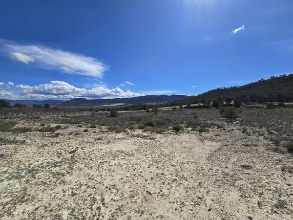 Land in Salinas - view 1