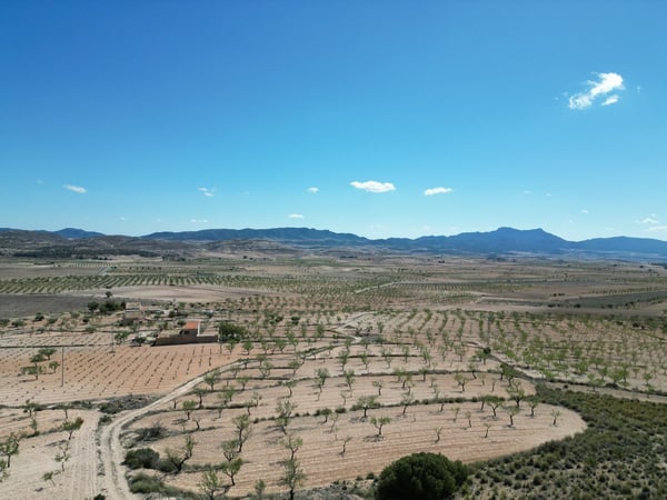 Land in Pinoso - view 1