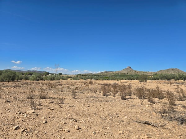 Land in Salinas - view 1