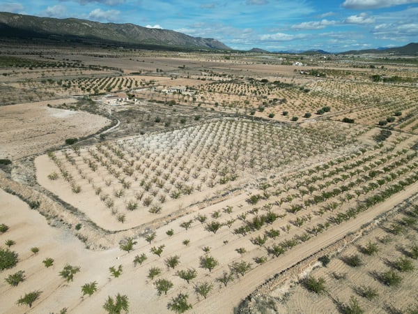 Land in Lel - view 1