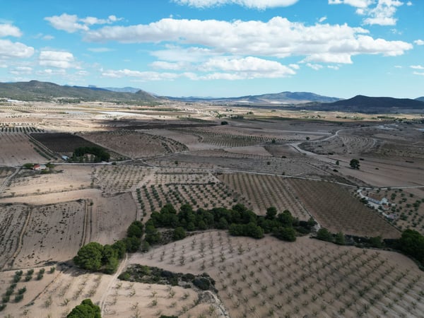 Land in Ubeda - view 1
