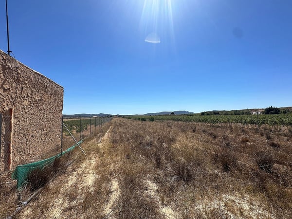Land in Pinoso - view 1