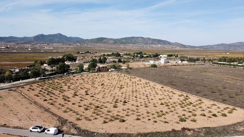 Land in Paredon - view 1
