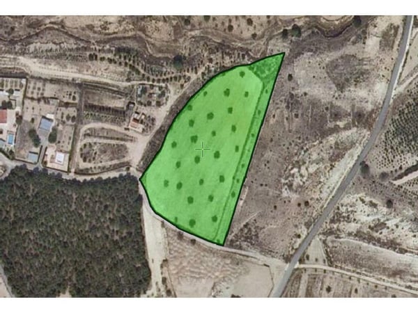 Land in Colonia de Santa Eulalia - view 1