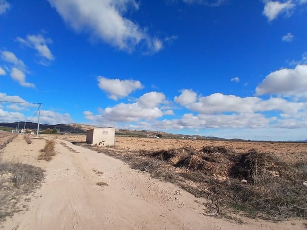 Land in Yecla - view 1