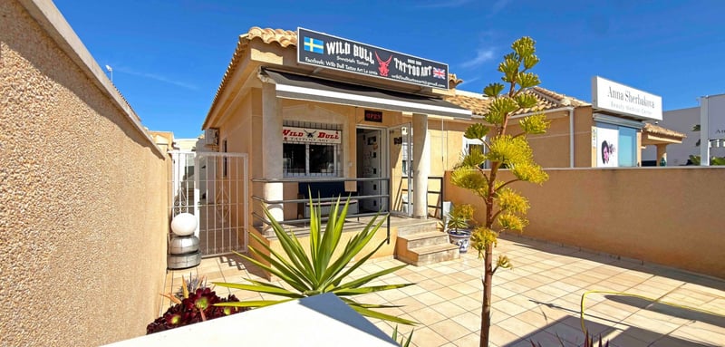 House in Playa Flamenca - view 1