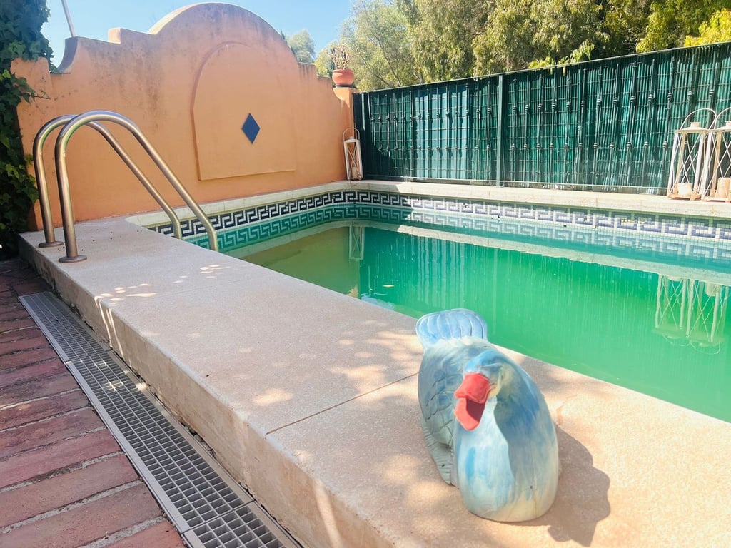 House in Malaga - Image 3