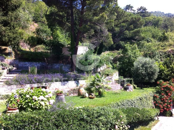 House in Castelvecchio di Rocca Barbena - view 1