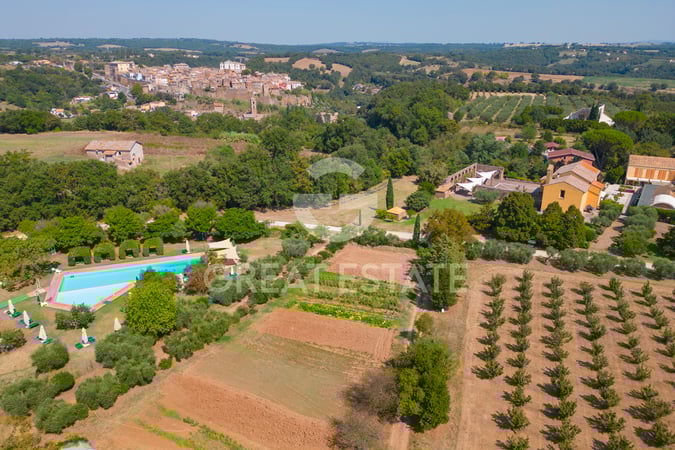 House in Gallese - view 1