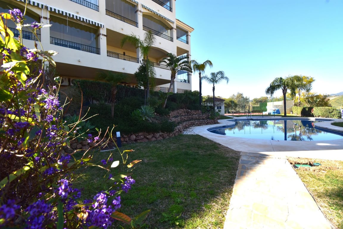 Apartment in Malaga