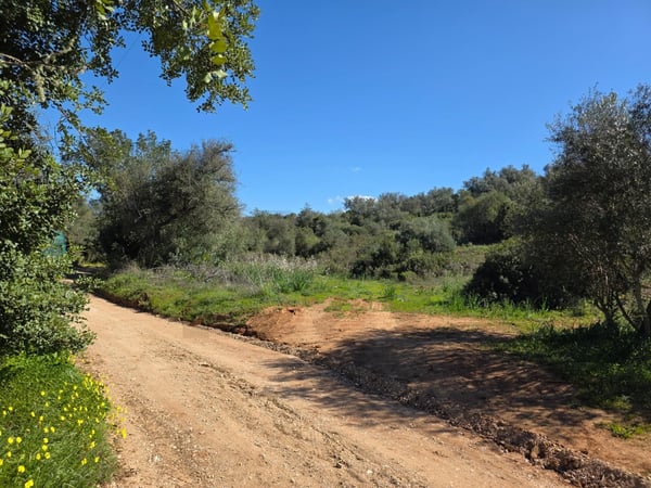 Land in Porches - view 1