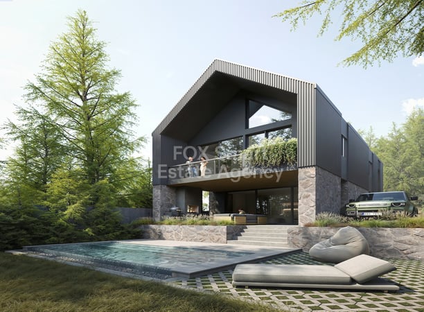 House in Moniatis - view 1