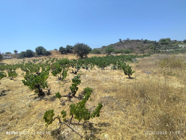 Land in Agros - view 1