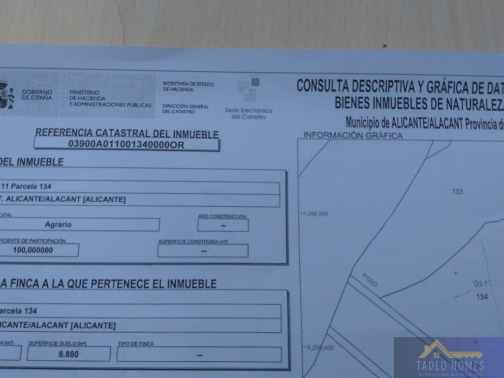 Land in Moralet - Image 5