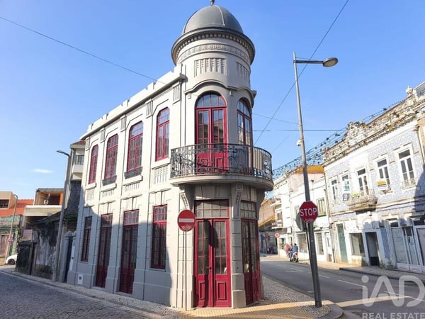 House in Sao Vicente de Pereira Jusa - view 1