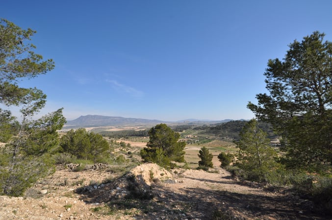 Land in La Zarza - view 1