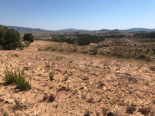 Land in Zarza de Alange - view 1