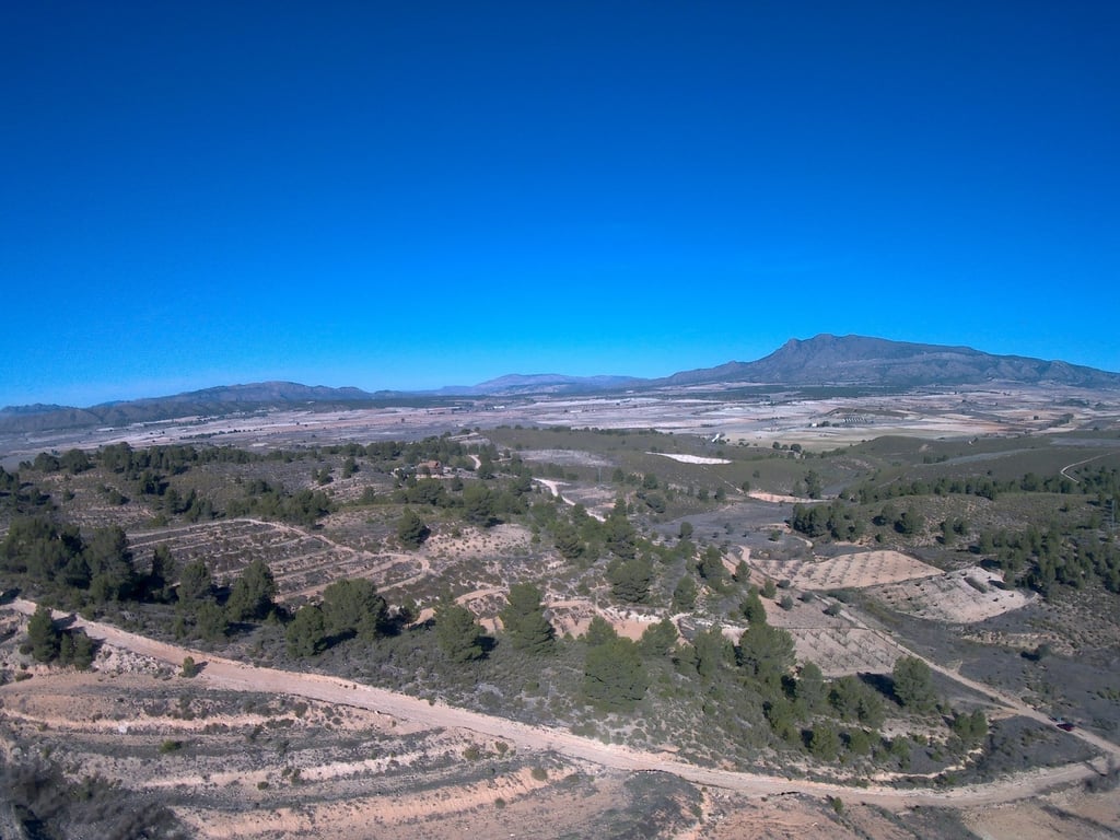 Land in La Zarza - Image 2