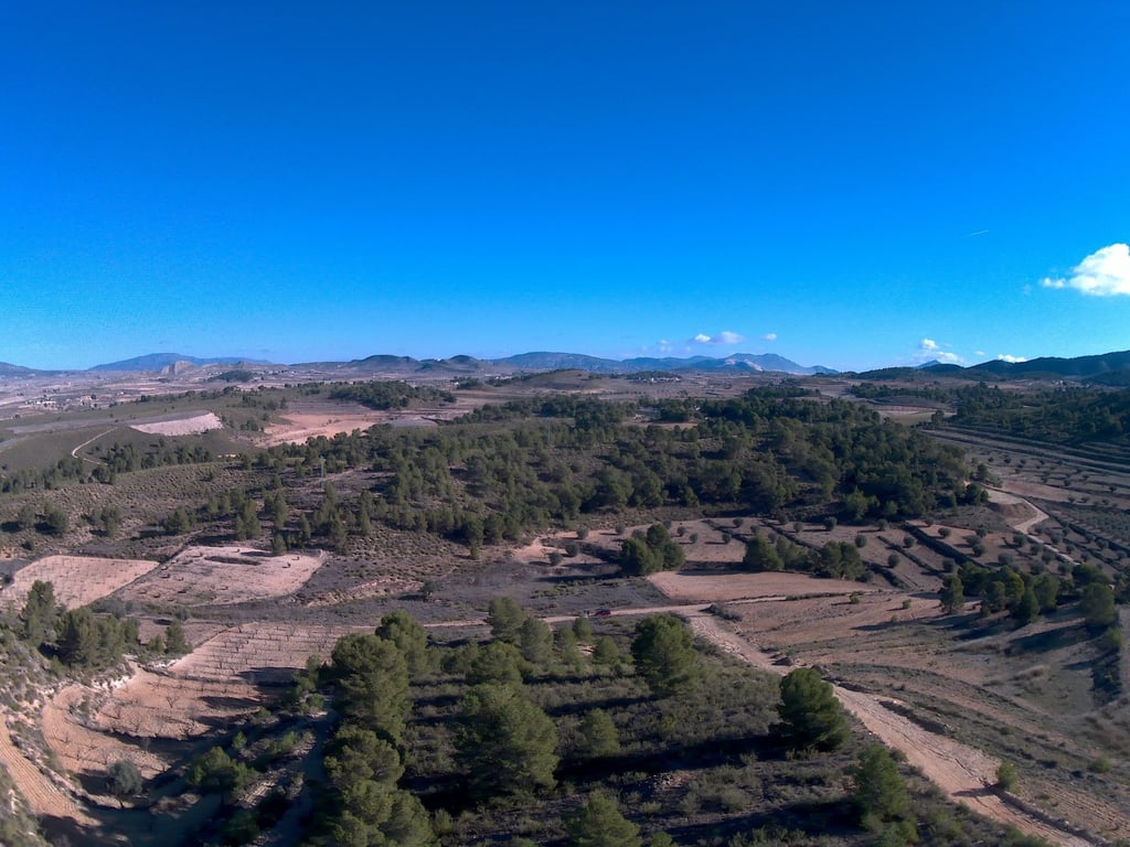 Land in La Zarza - Image 3