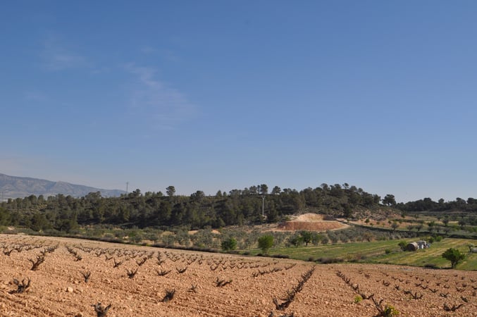 Land in La Zarza - view 1