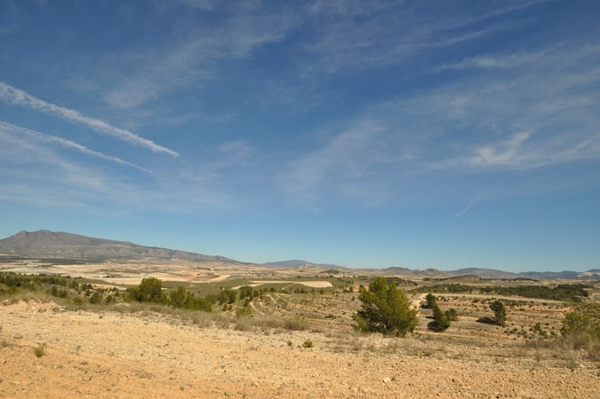 Land in La Zarza - view 1