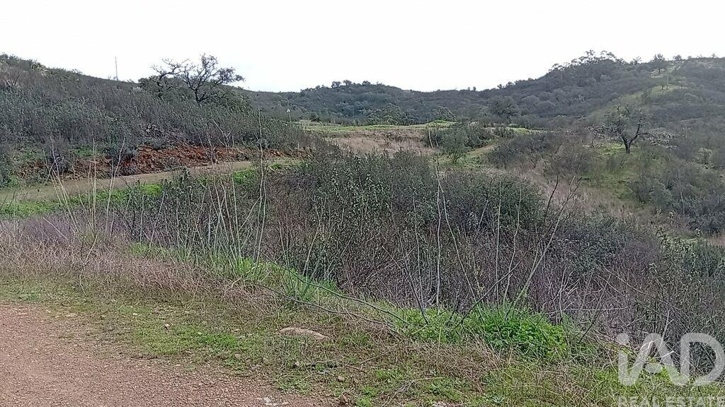 Land in Faro
