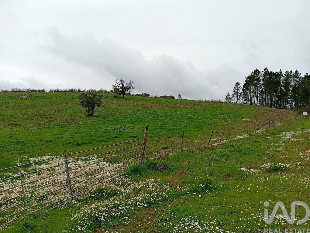 Land in Faro - Image 2