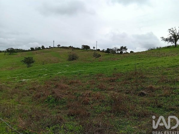 Land in Faro - view 1