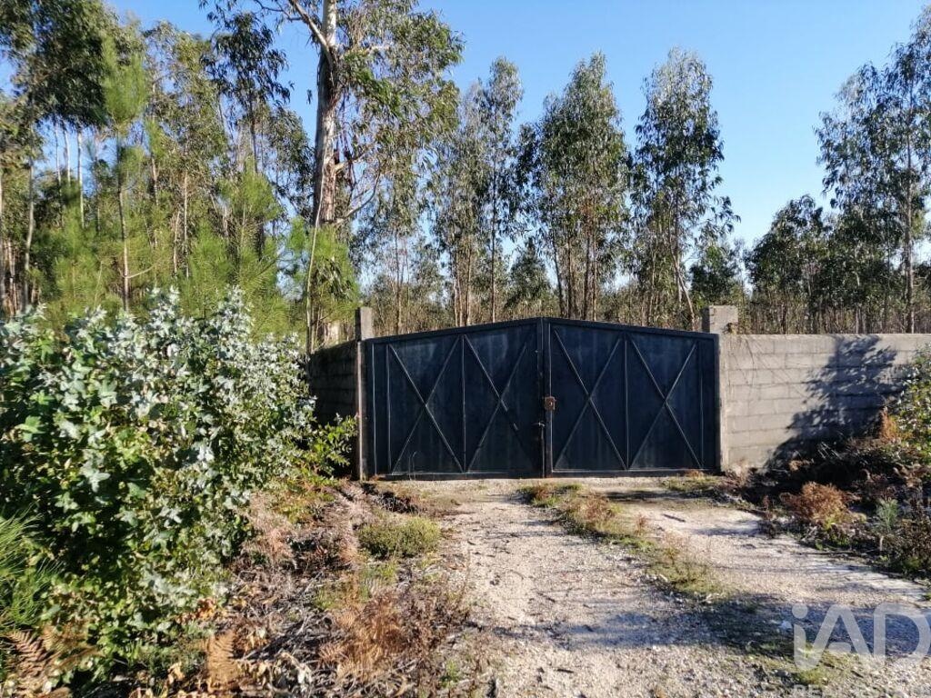 Land in Monte Real - Image 3