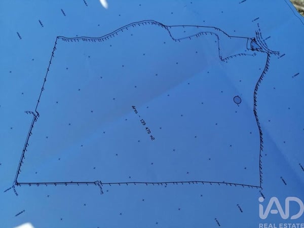 Land in Monte Real - view 1