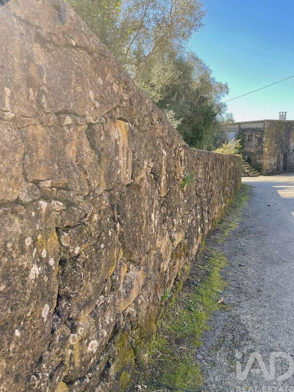 Land in Montaria - Image 2