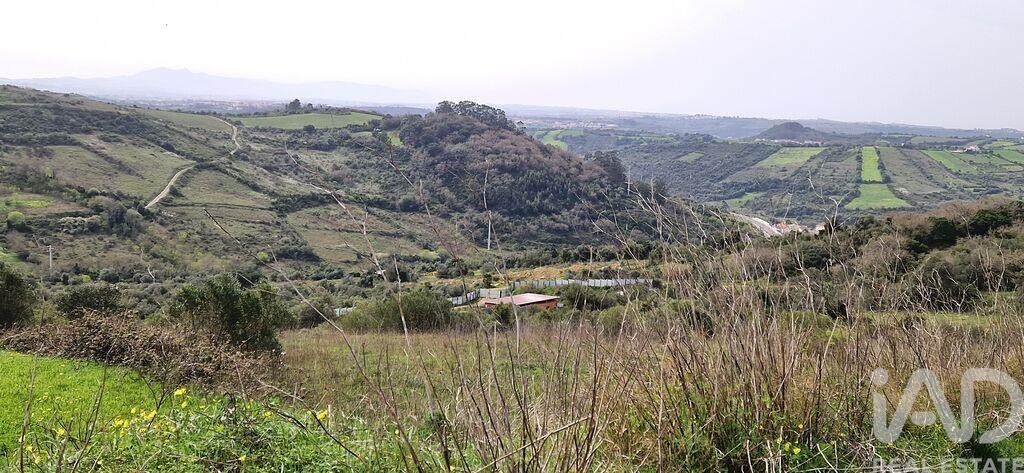 Land in Ericeira - Image 3
