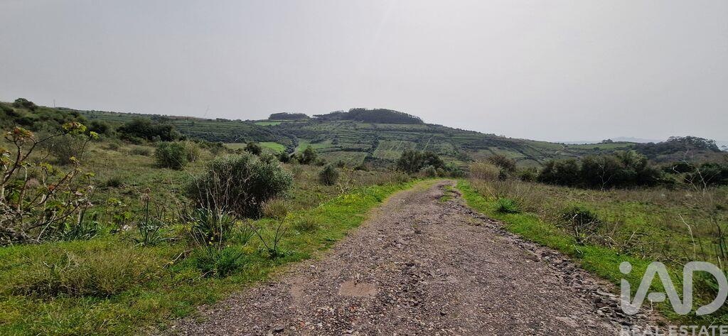 Land in Ericeira