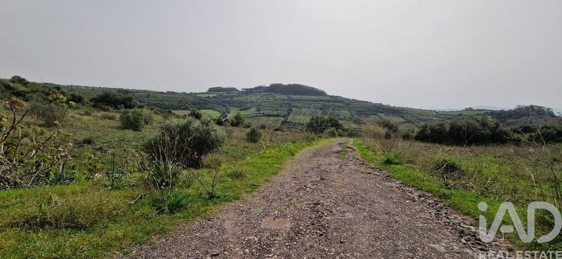 Land in Ericeira - view 1