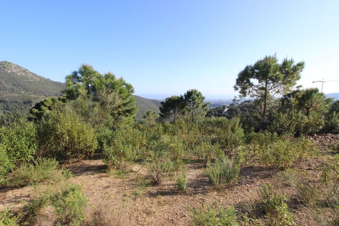Land in Benahavis - view 1