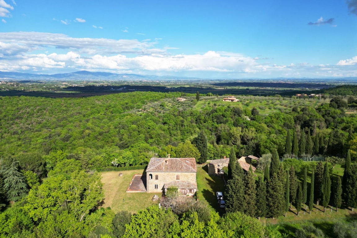 House in Sinalunga - Image 2