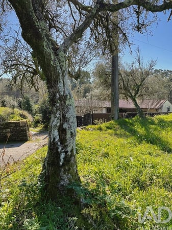 Land in Montaria - view 1