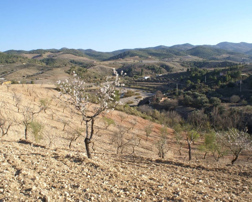 Land in Henares - Image 2