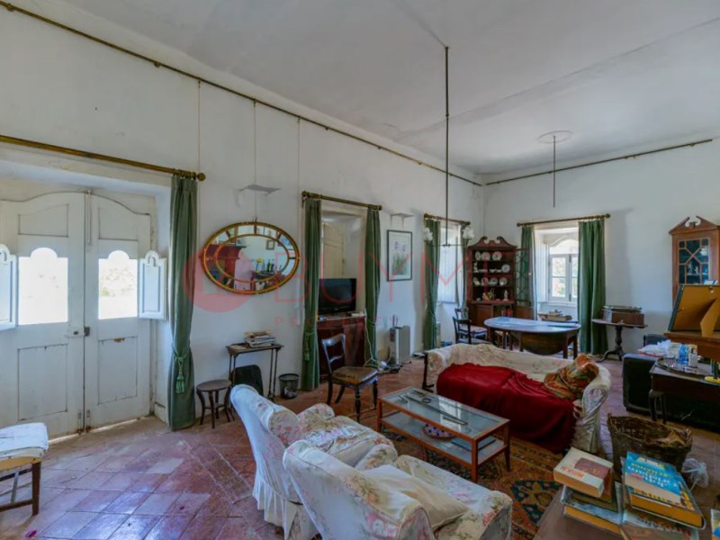 Farm, Ranch or Equestrian in Sao Bras de Alportel - Image 3