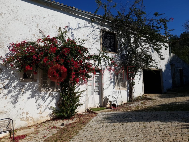 Farm, Ranch or Equestrian in Sao Bras de Alportel