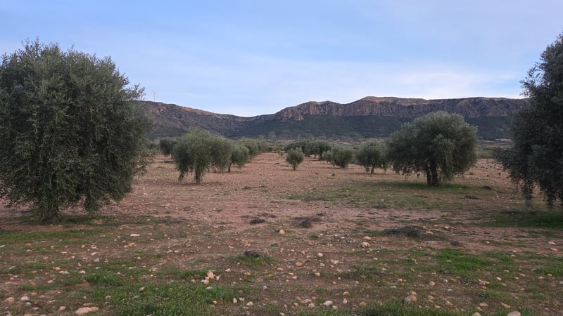 House in Jumilla - view 1