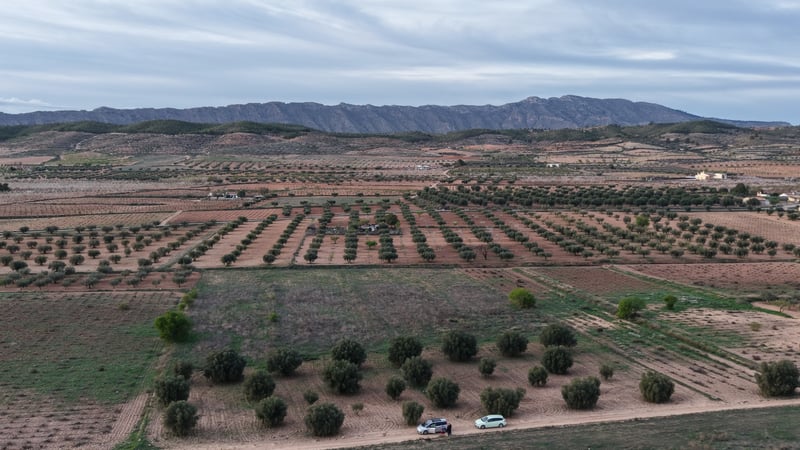 Land in Fuente del Pino - view 1