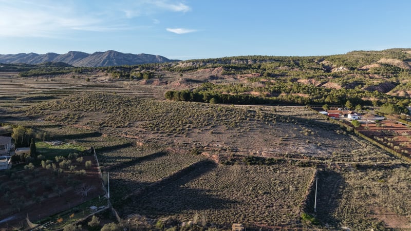 Land in Yecla - view 1